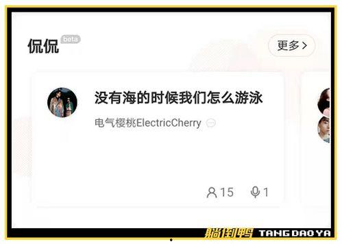 国产开房,揭秘中国住宿业的创新与变革