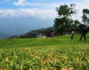 青青草原国产,绿色生态与和谐发展的奇迹之旅