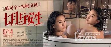 国产女同调教,探索情感与成长的独特旅程